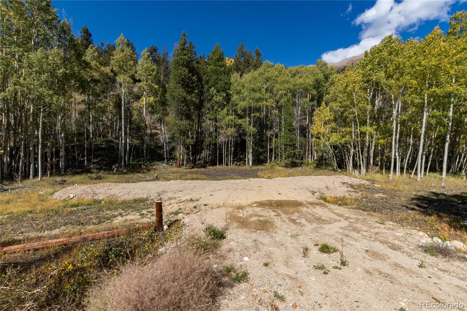 10575 Co-82 Twin Lakes CO 81251