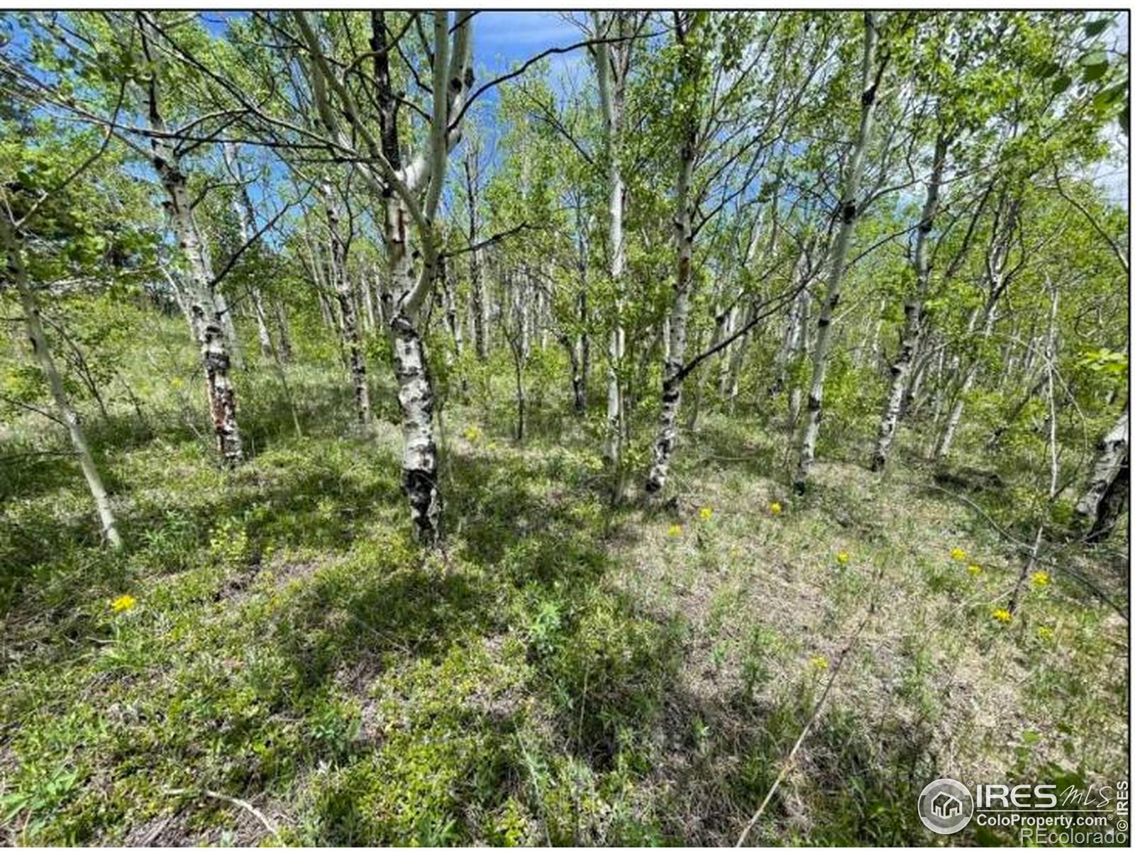 11320 Gold Hill Road Boulder CO 80302