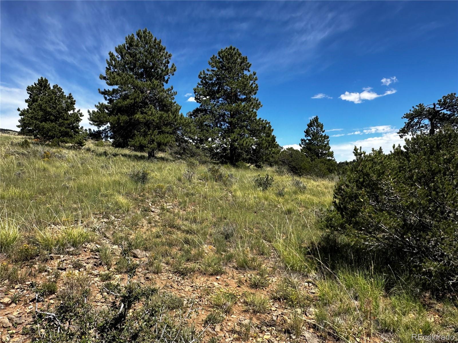 186 Flavin Lane Fort Garland CO 81133