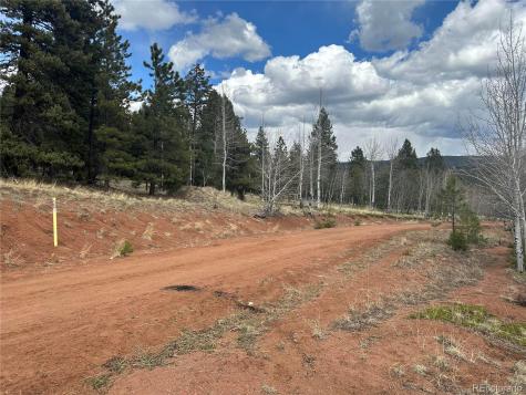 Firestone Drive Woodland Park CO 80863