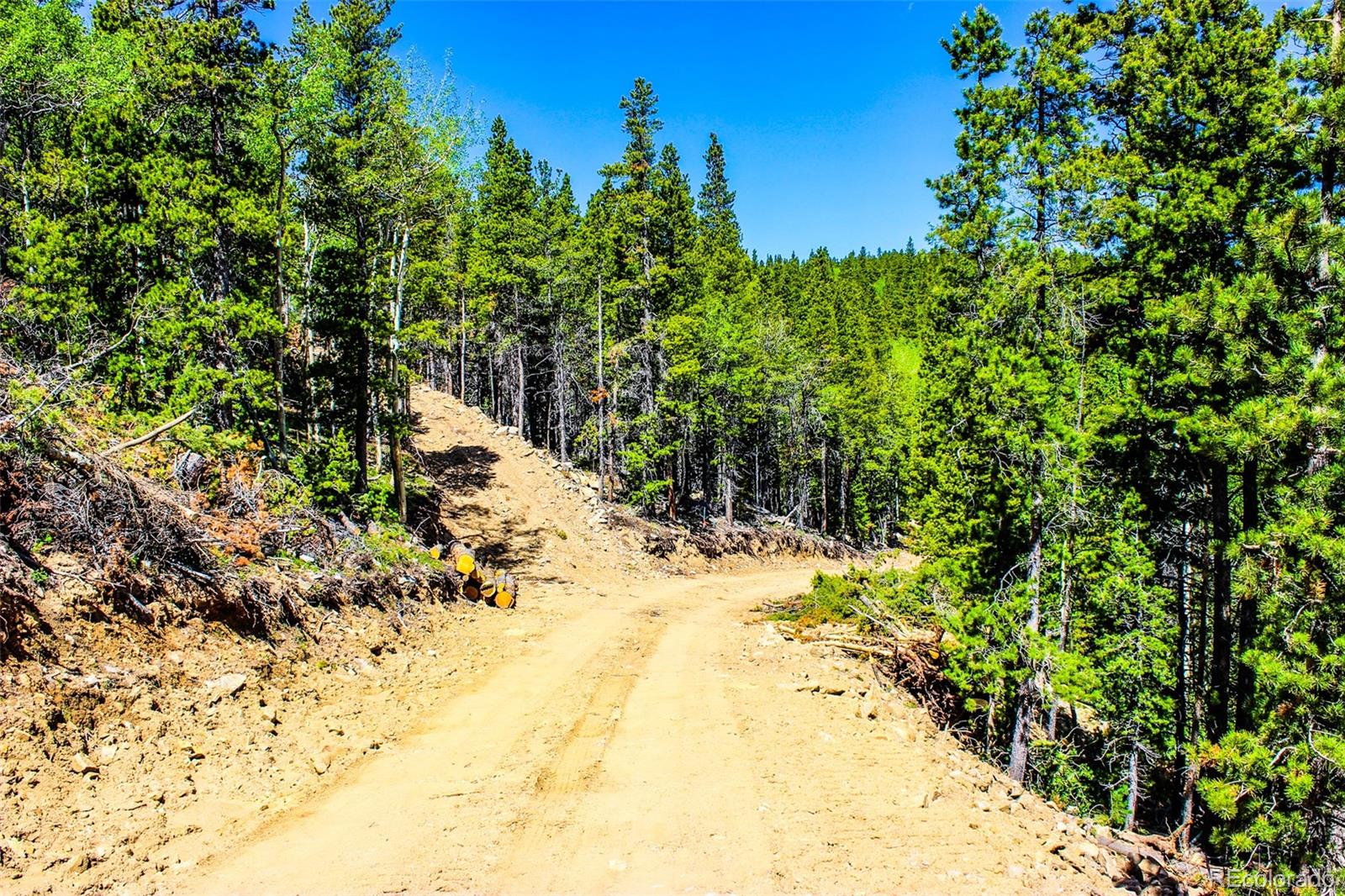 4 Roosevelt Ridge Black Hawk CO 80422