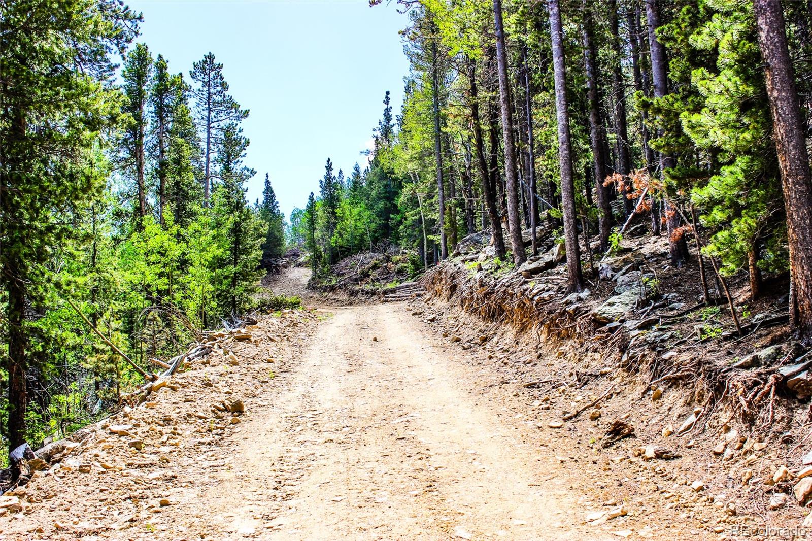 4 Roosevelt Ridge Black Hawk CO 80422