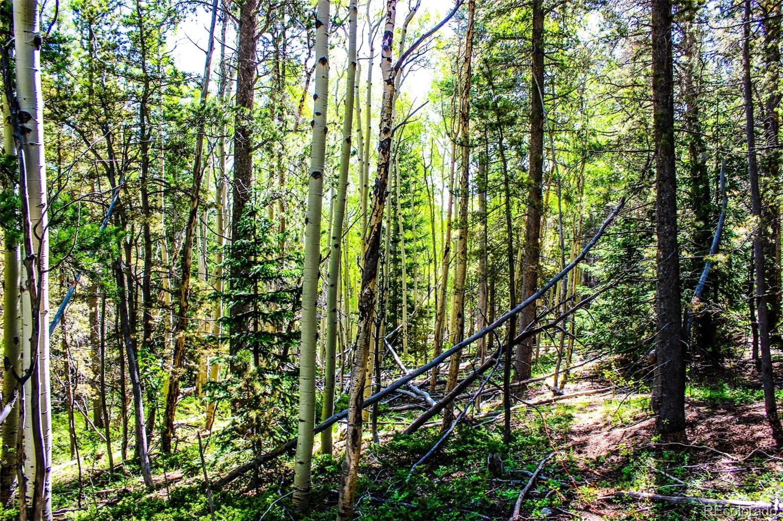 4 Roosevelt Ridge Black Hawk CO 80422