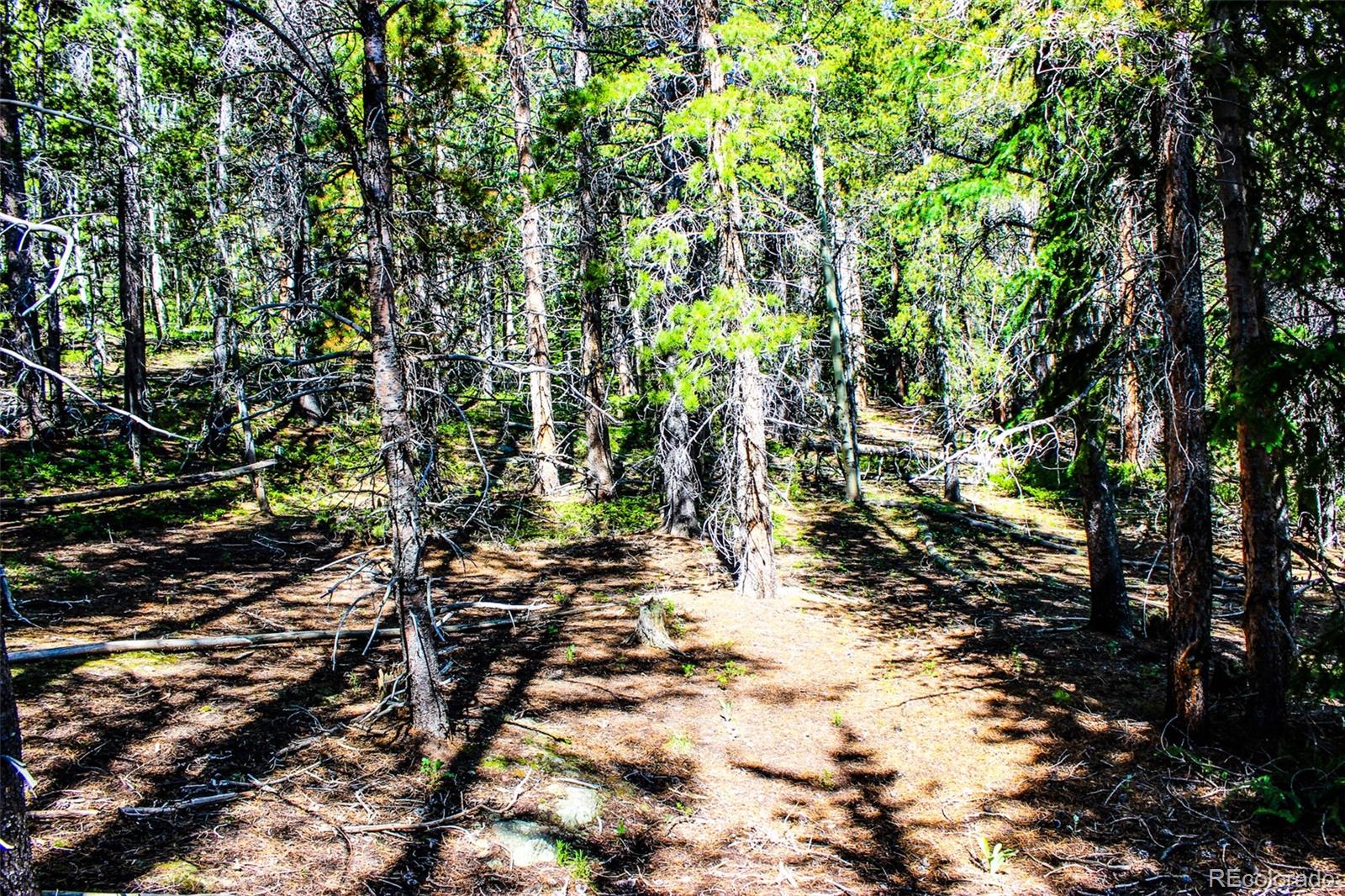 4 Roosevelt Ridge Black Hawk CO 80422