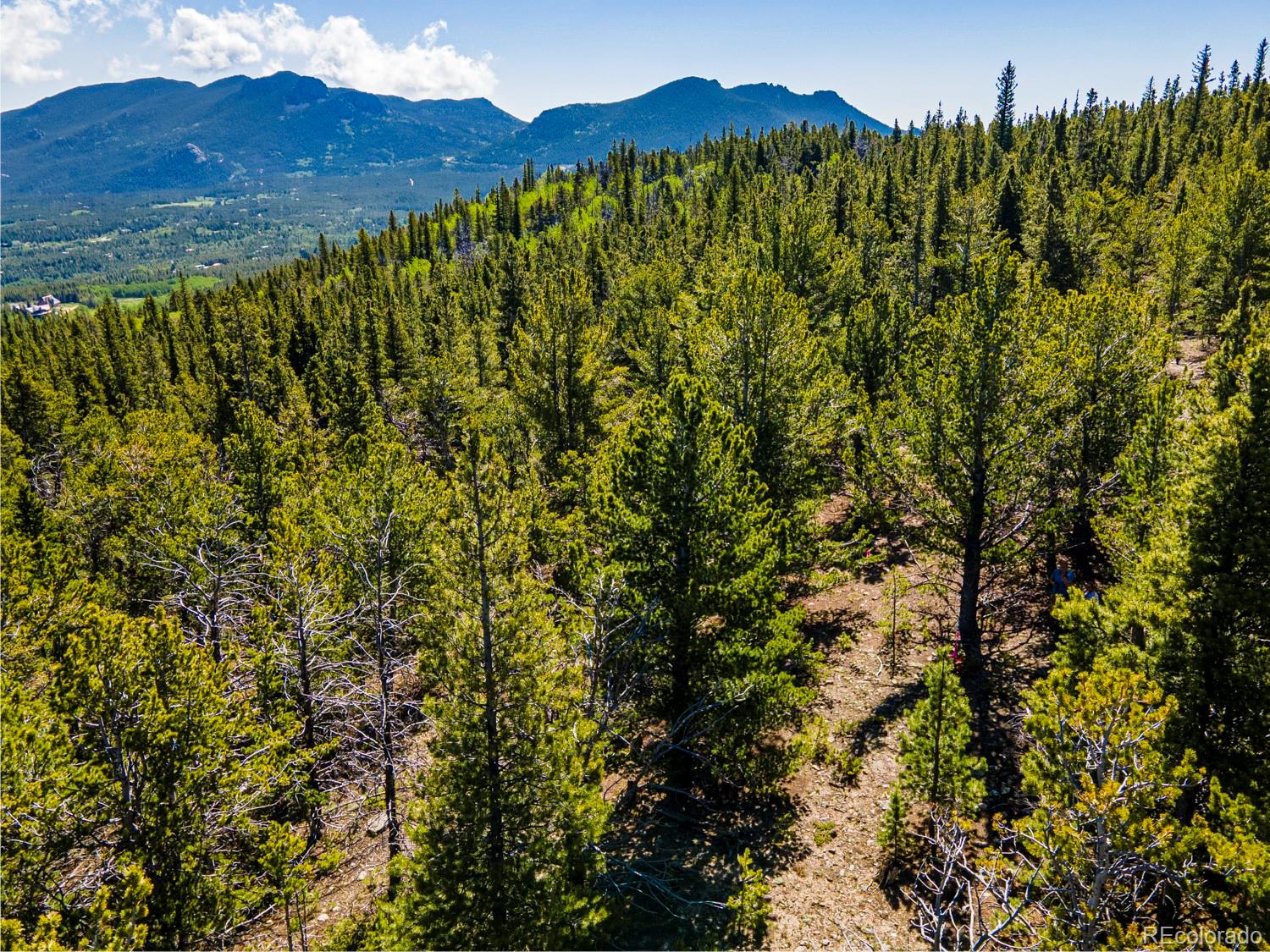 4 Roosevelt Ridge Black Hawk CO 80422