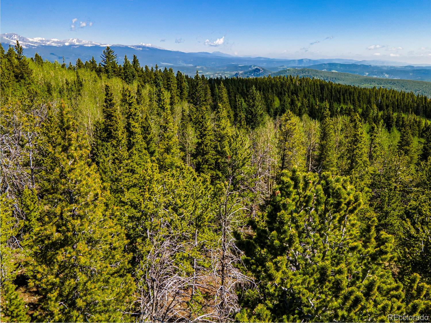 4 Roosevelt Ridge Black Hawk CO 80422