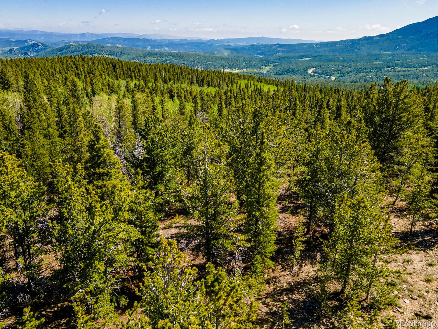 4 Roosevelt Ridge Black Hawk CO 80422
