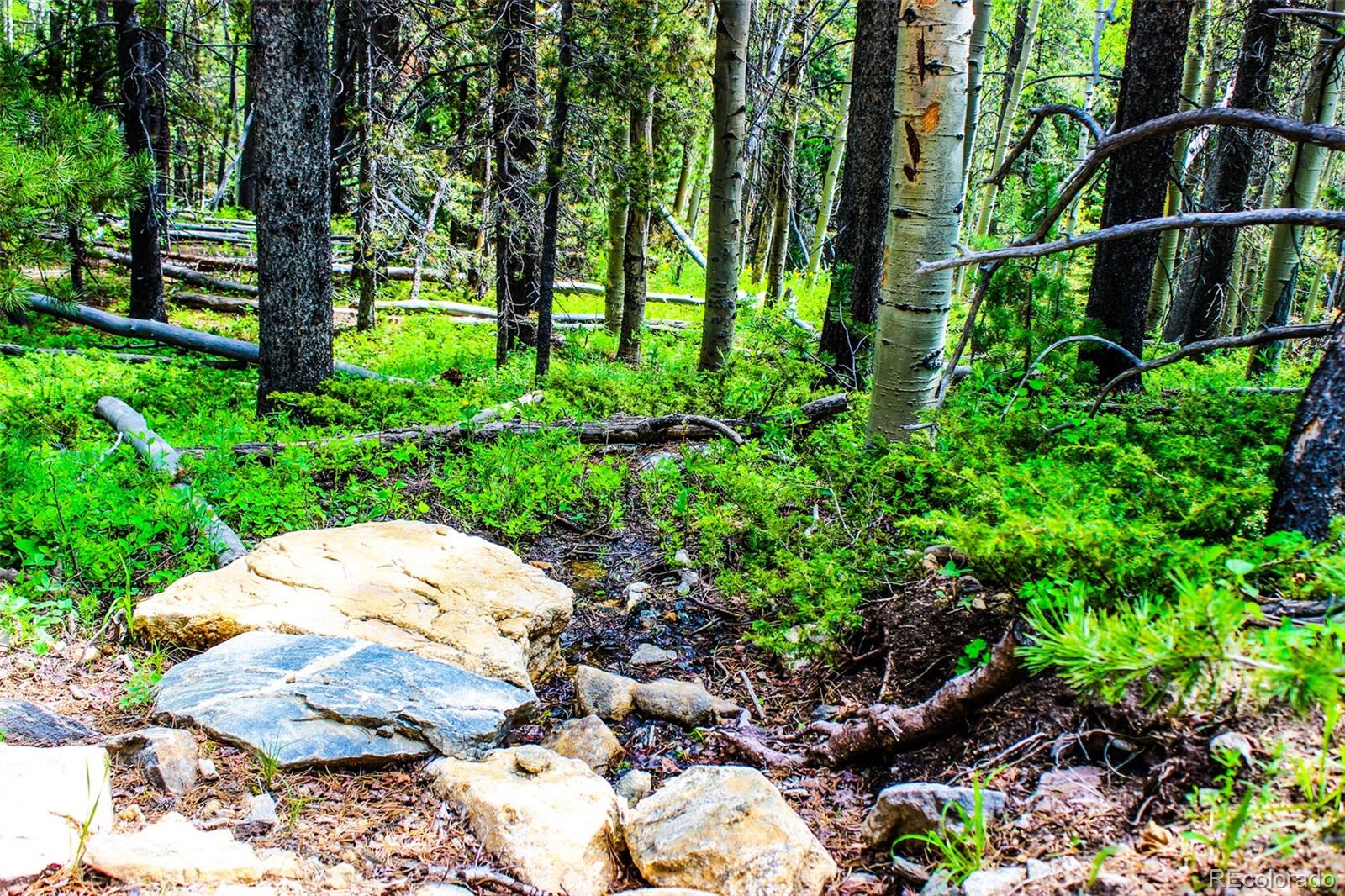 4 Roosevelt Ridge Black Hawk CO 80422