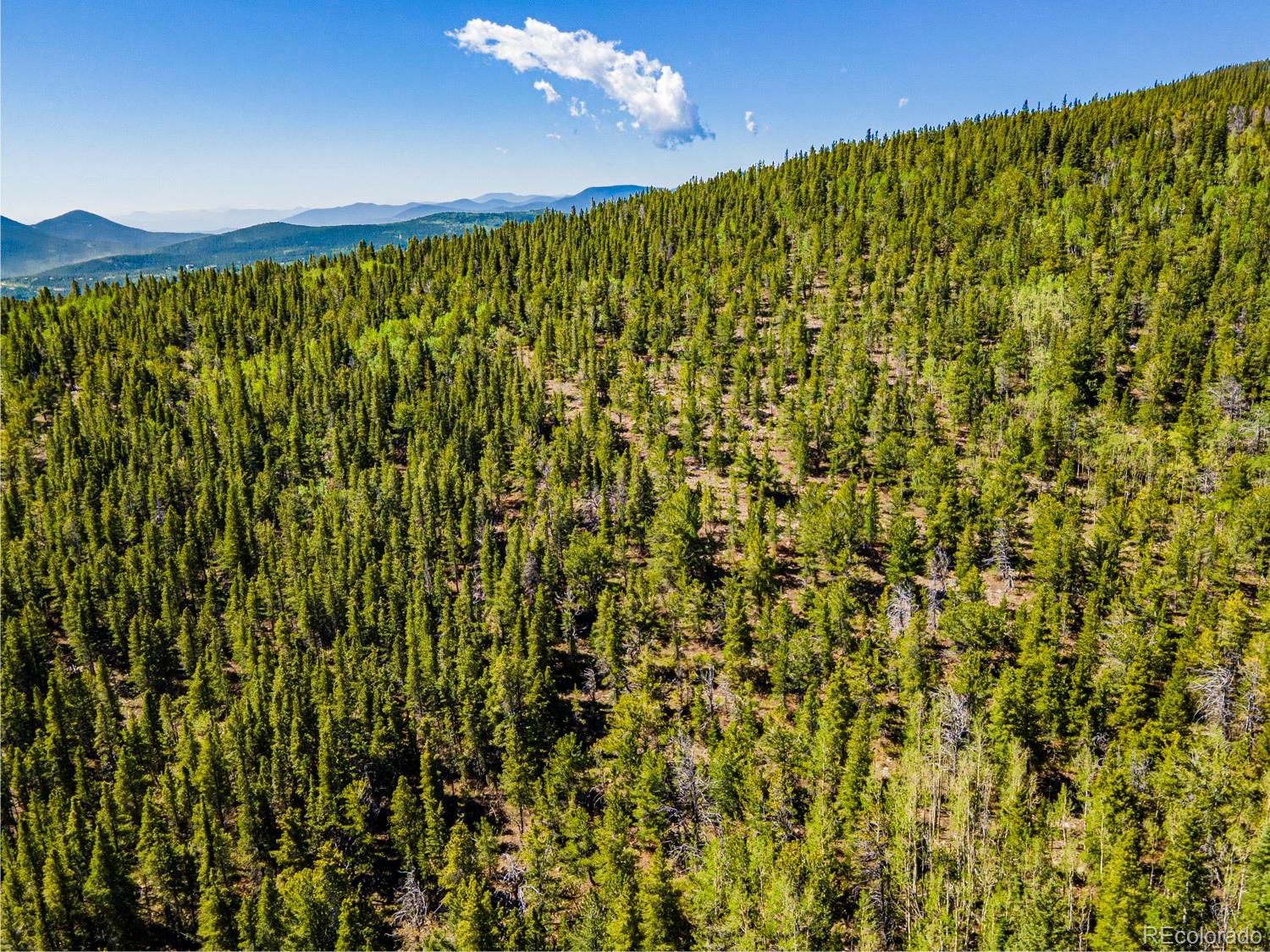 4 Roosevelt Ridge Black Hawk CO 80422