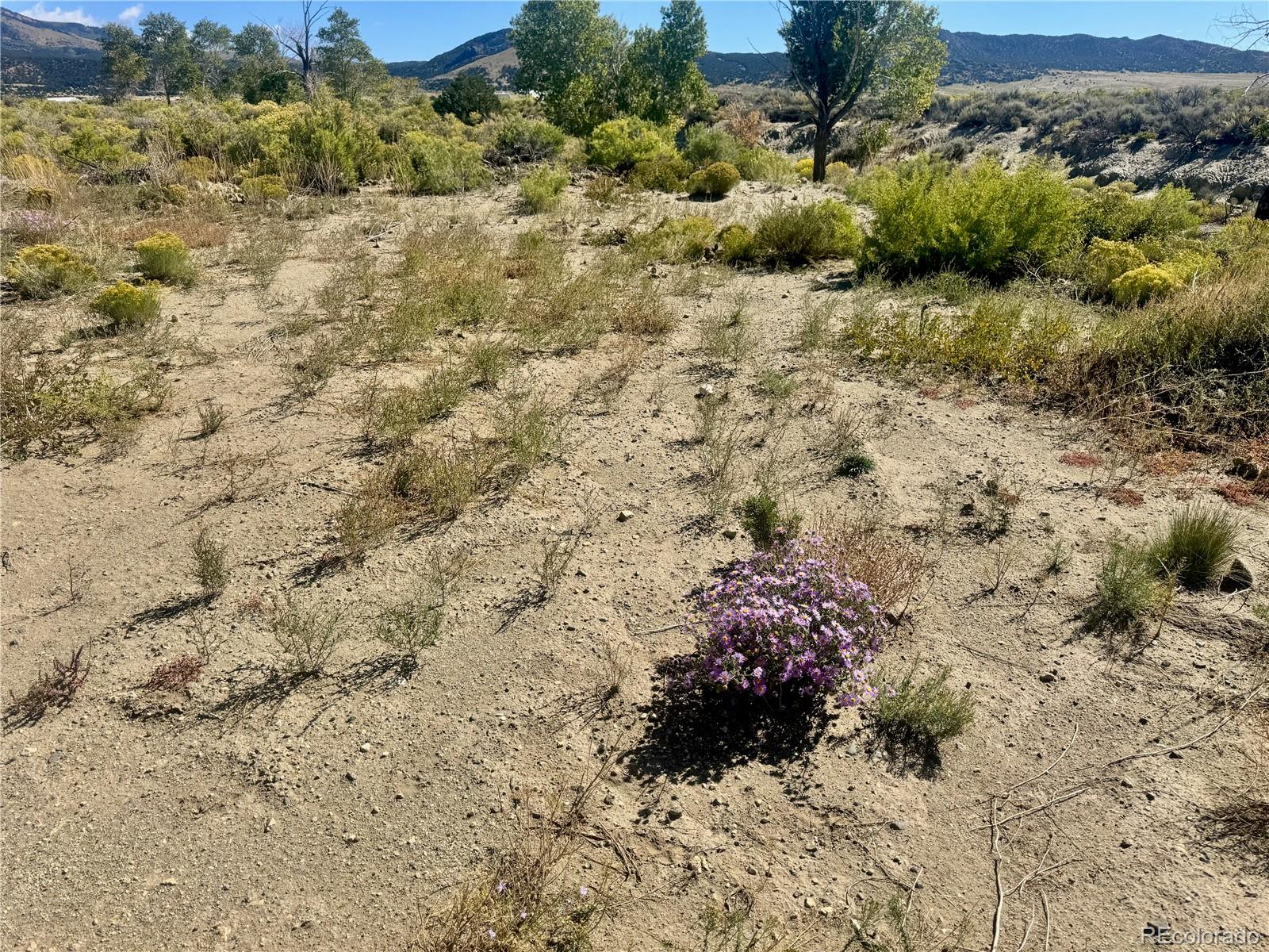 Lot 4 13th Street Blanca CO 81123