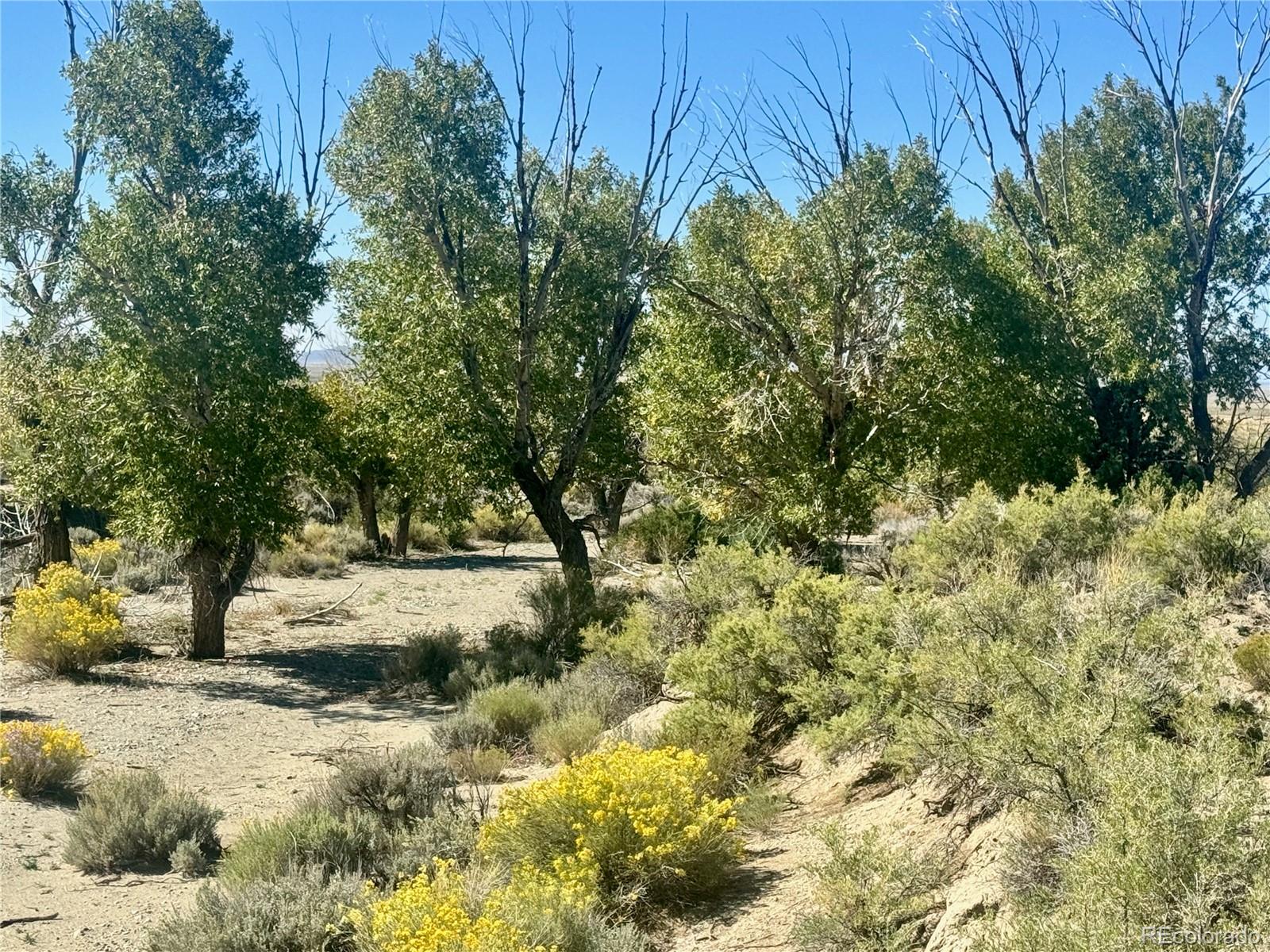 Lot 4 13th Street Blanca CO 81123