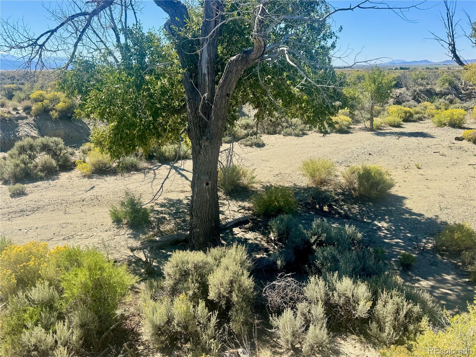 Lot 4 13th Street Blanca CO 81123