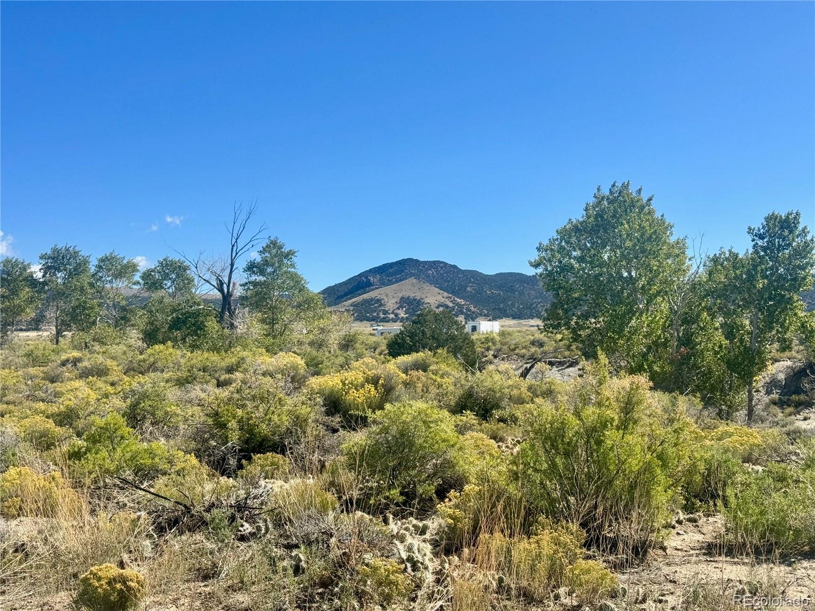 Lot 4 13th Street Blanca CO 81123