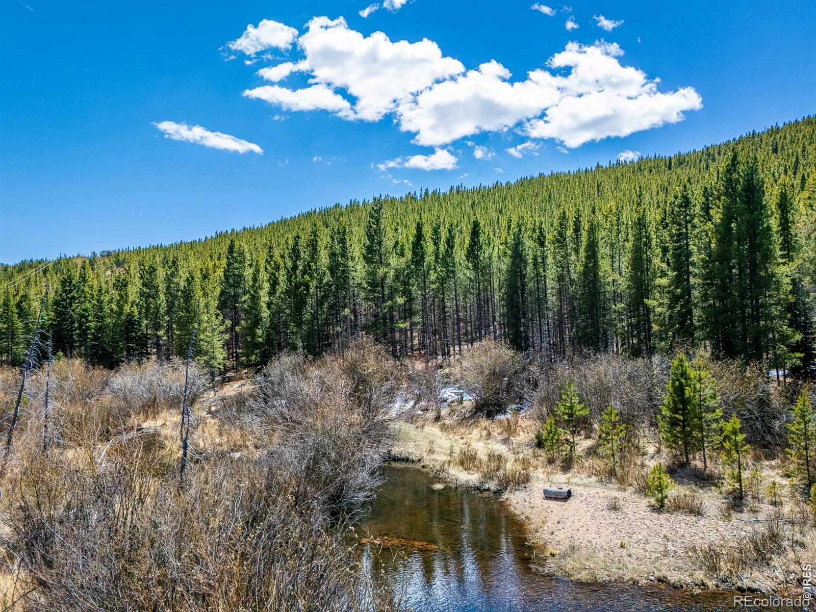 591 Tuscarora Way Red Feather Lakes CO 80545