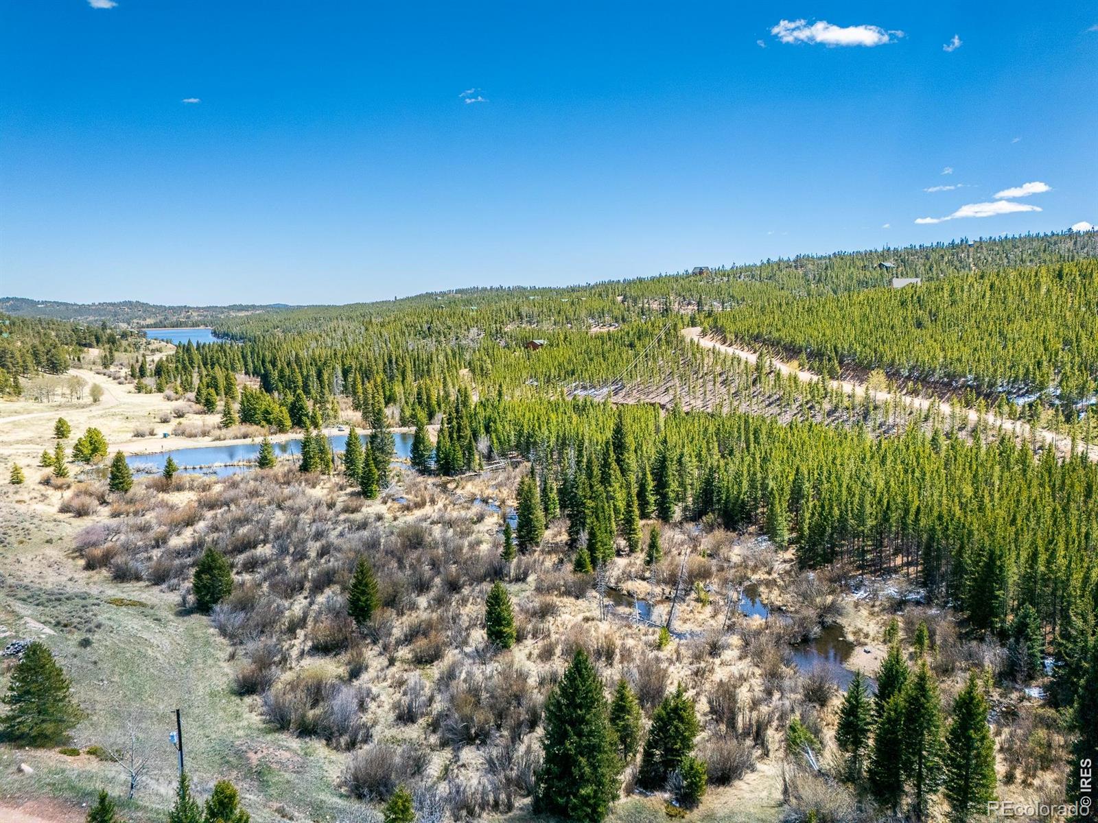 591 Tuscarora Way Red Feather Lakes CO 80545