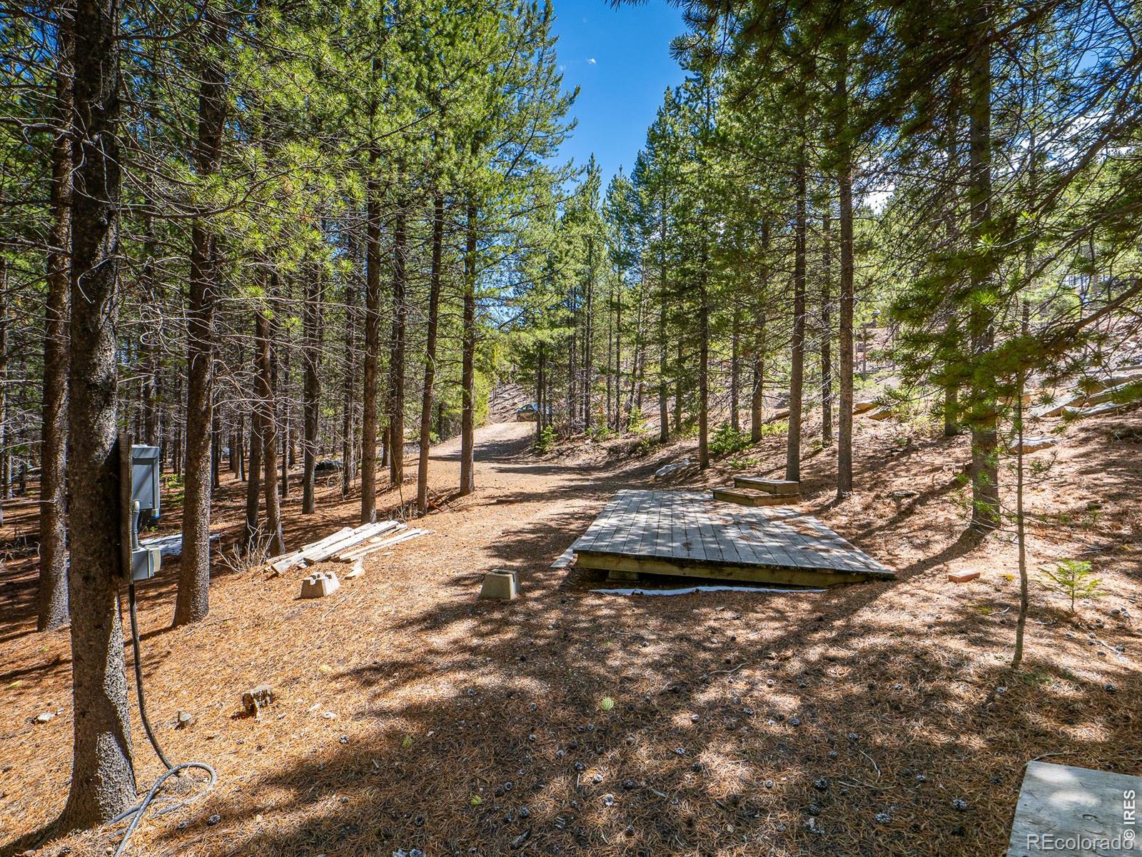 591 Tuscarora Way Red Feather Lakes CO 80545