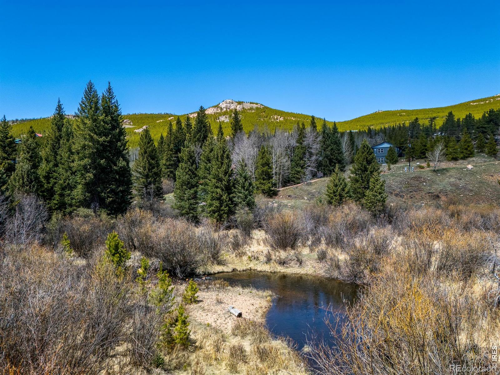 591 Tuscarora Way Red Feather Lakes CO 80545