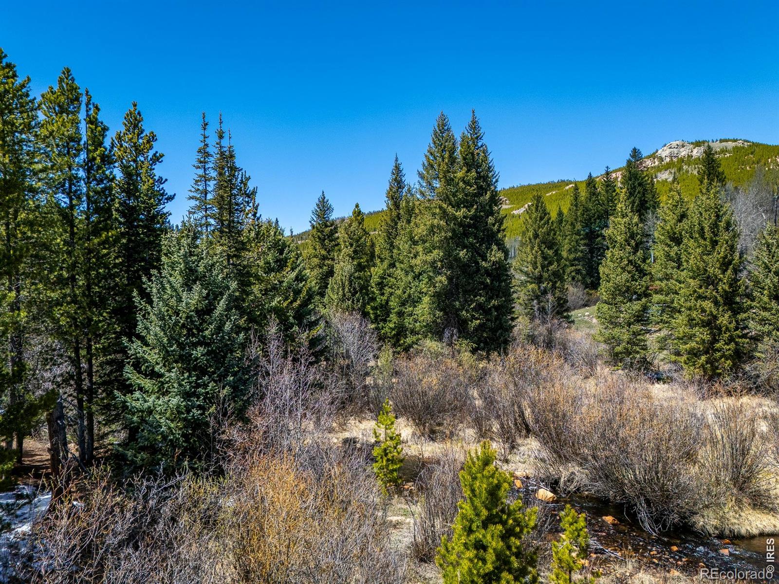 591 Tuscarora Way Red Feather Lakes CO 80545