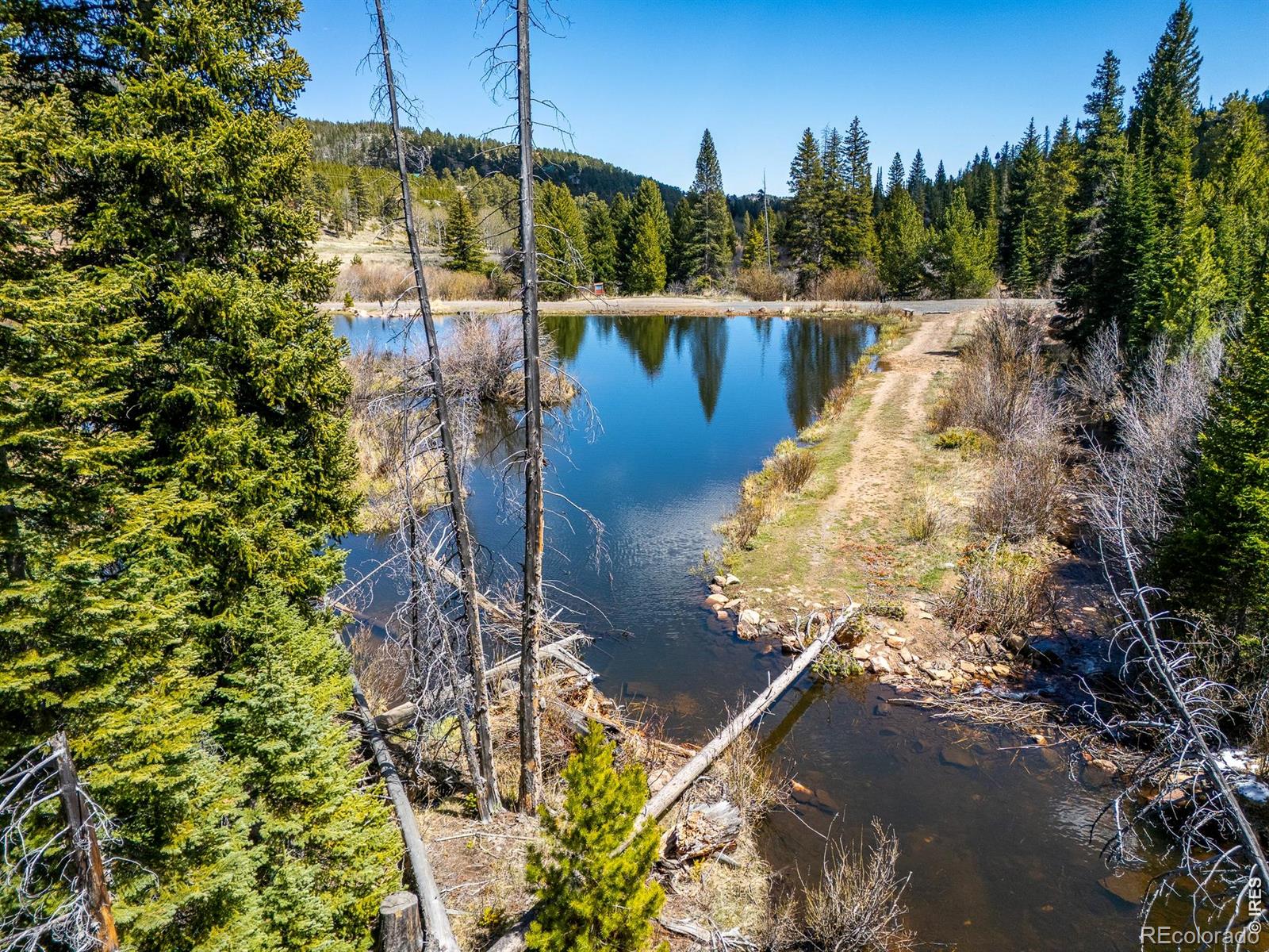 591 Tuscarora Way Red Feather Lakes CO 80545