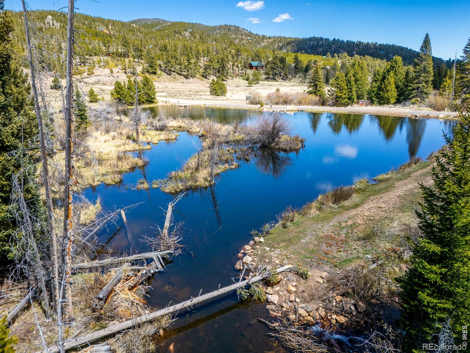591 Tuscarora Way Red Feather Lakes CO 80545