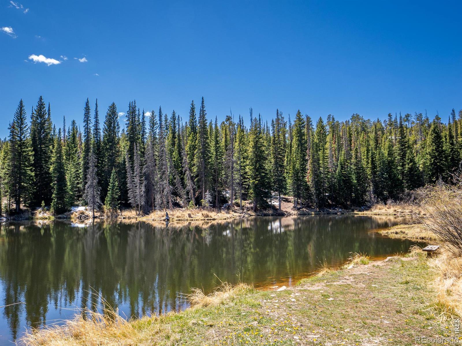 591 Tuscarora Way Red Feather Lakes CO 80545
