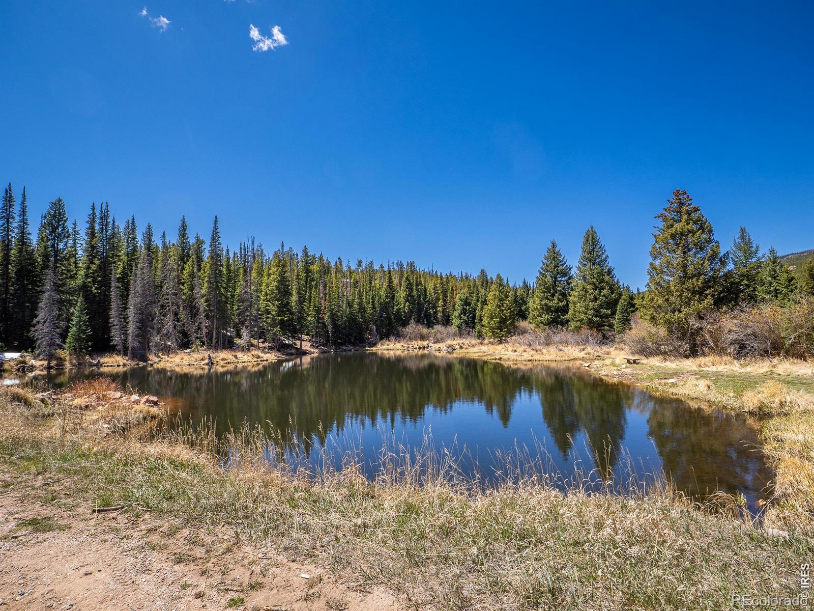 591 Tuscarora Way Red Feather Lakes CO 80545
