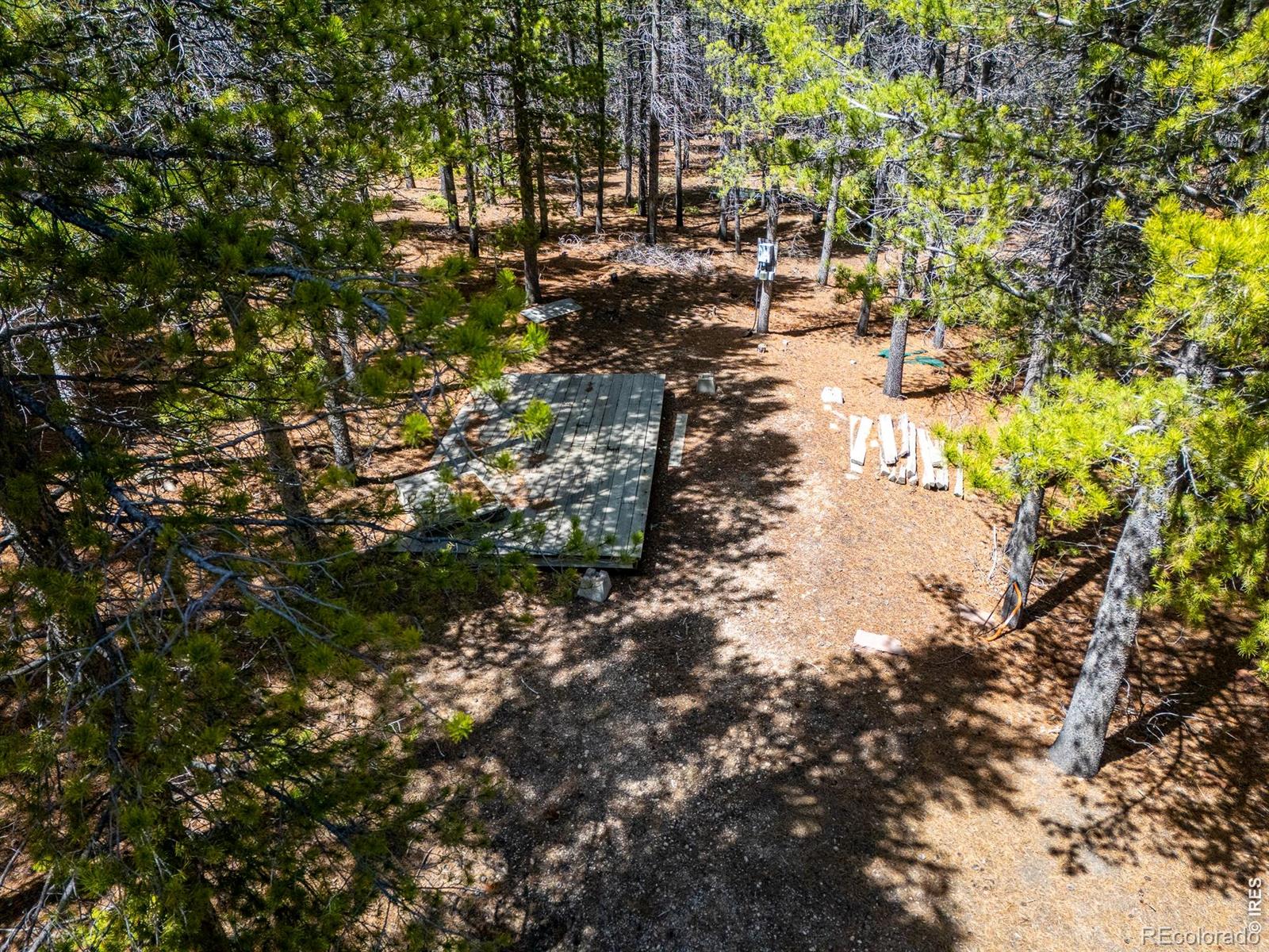 591 Tuscarora Way Red Feather Lakes CO 80545