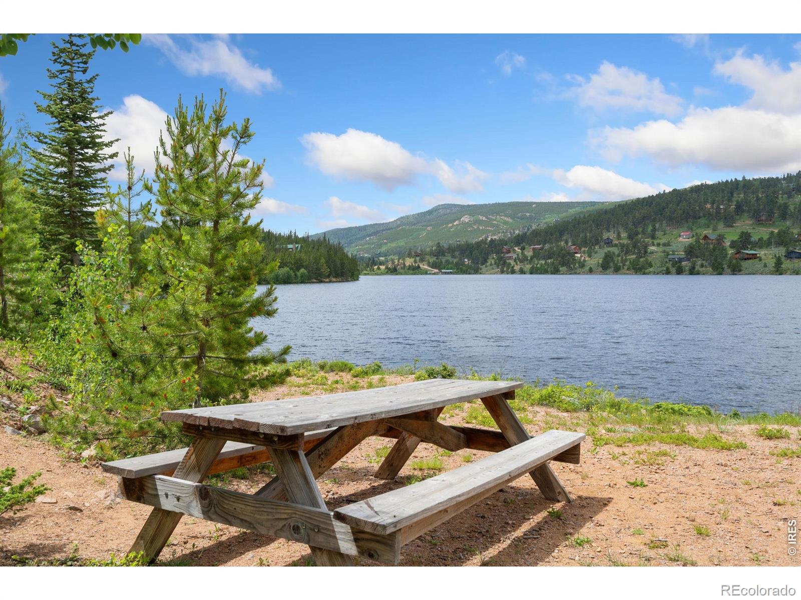 591 Tuscarora Way Red Feather Lakes CO 80545