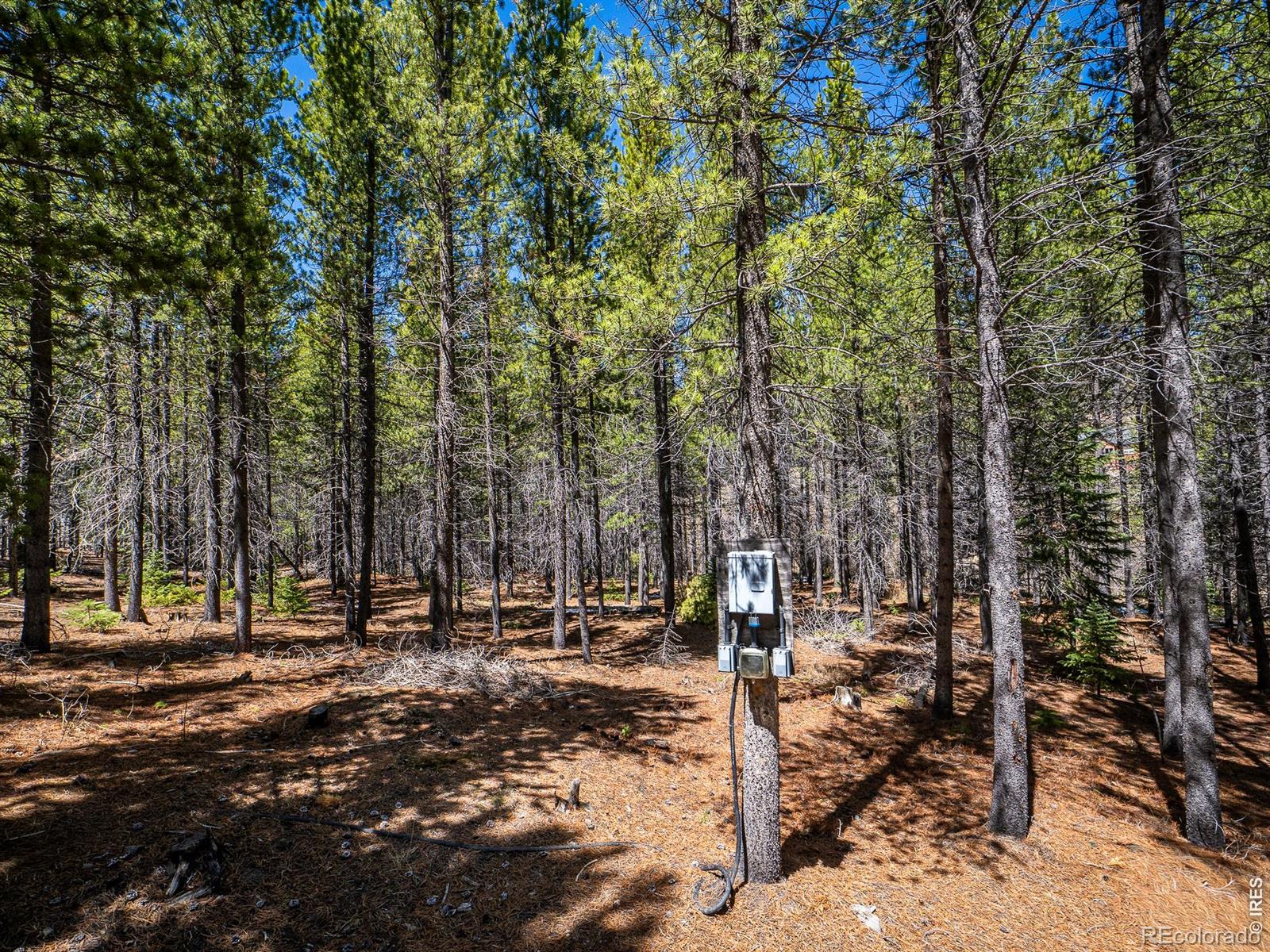 591 Tuscarora Way Red Feather Lakes CO 80545