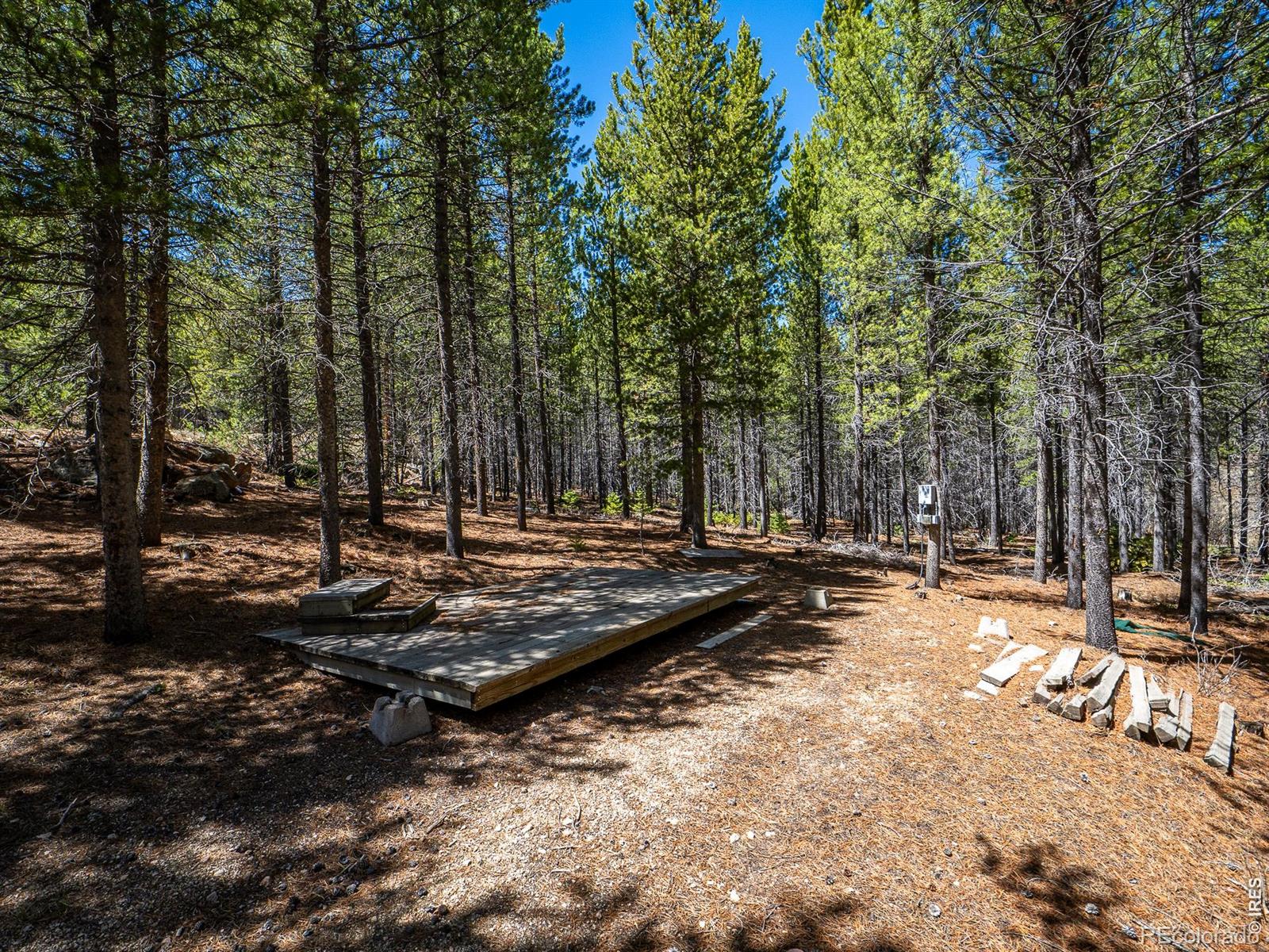 591 Tuscarora Way Red Feather Lakes CO 80545
