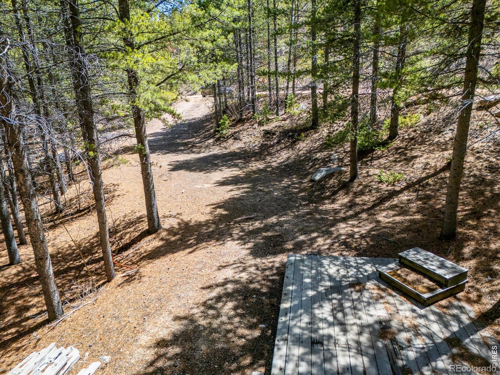 591 Tuscarora Way Red Feather Lakes CO 80545