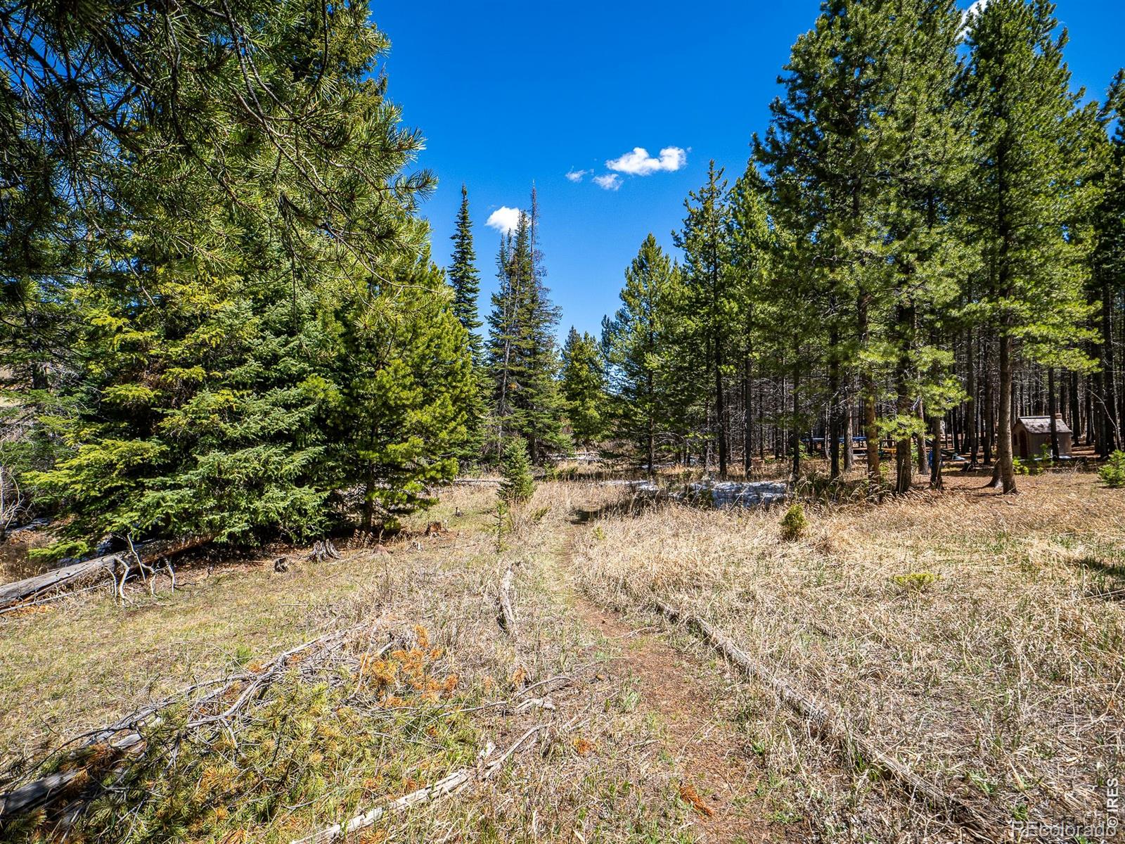 591 Tuscarora Way Red Feather Lakes CO 80545