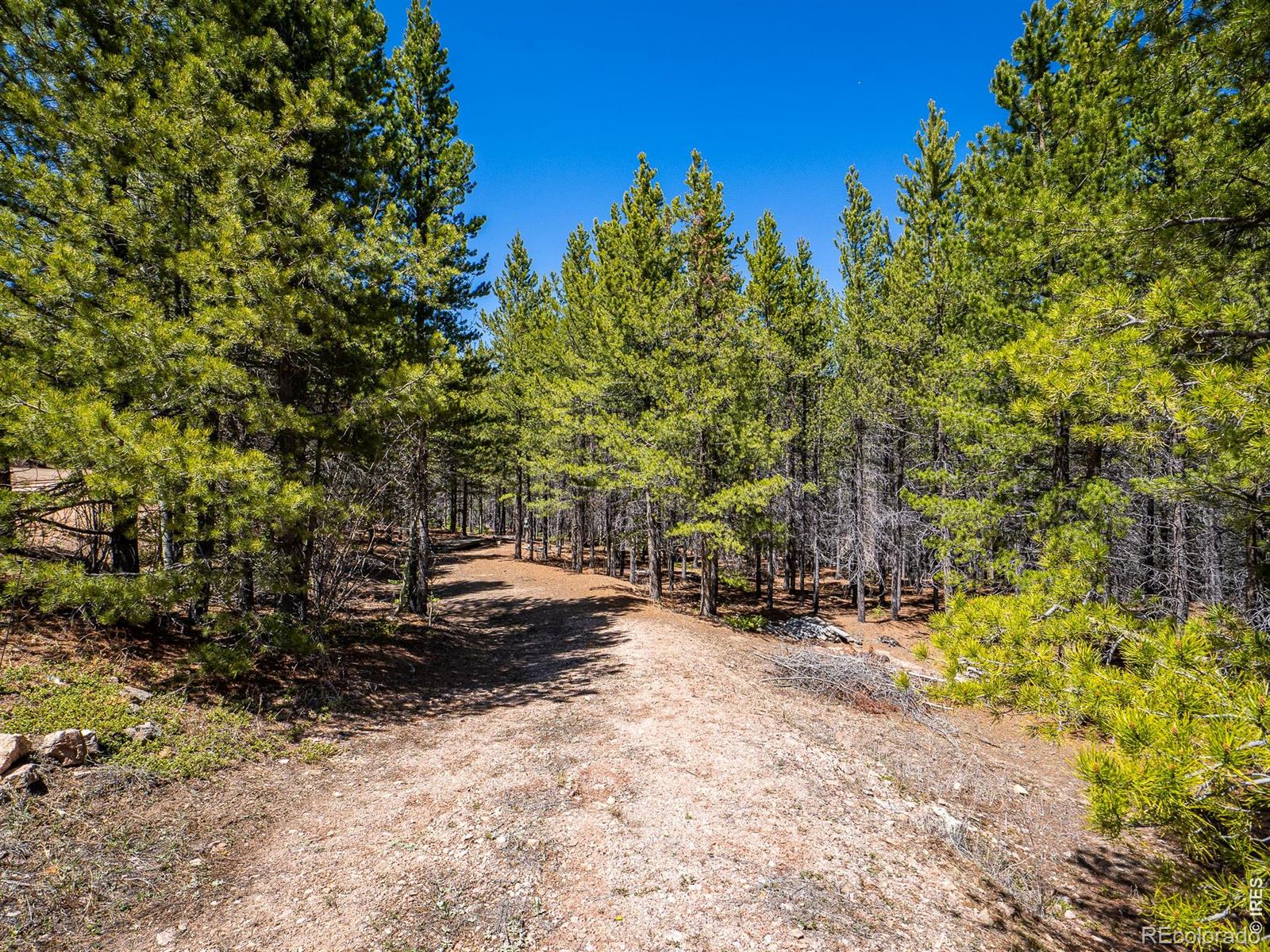 591 Tuscarora Way Red Feather Lakes CO 80545