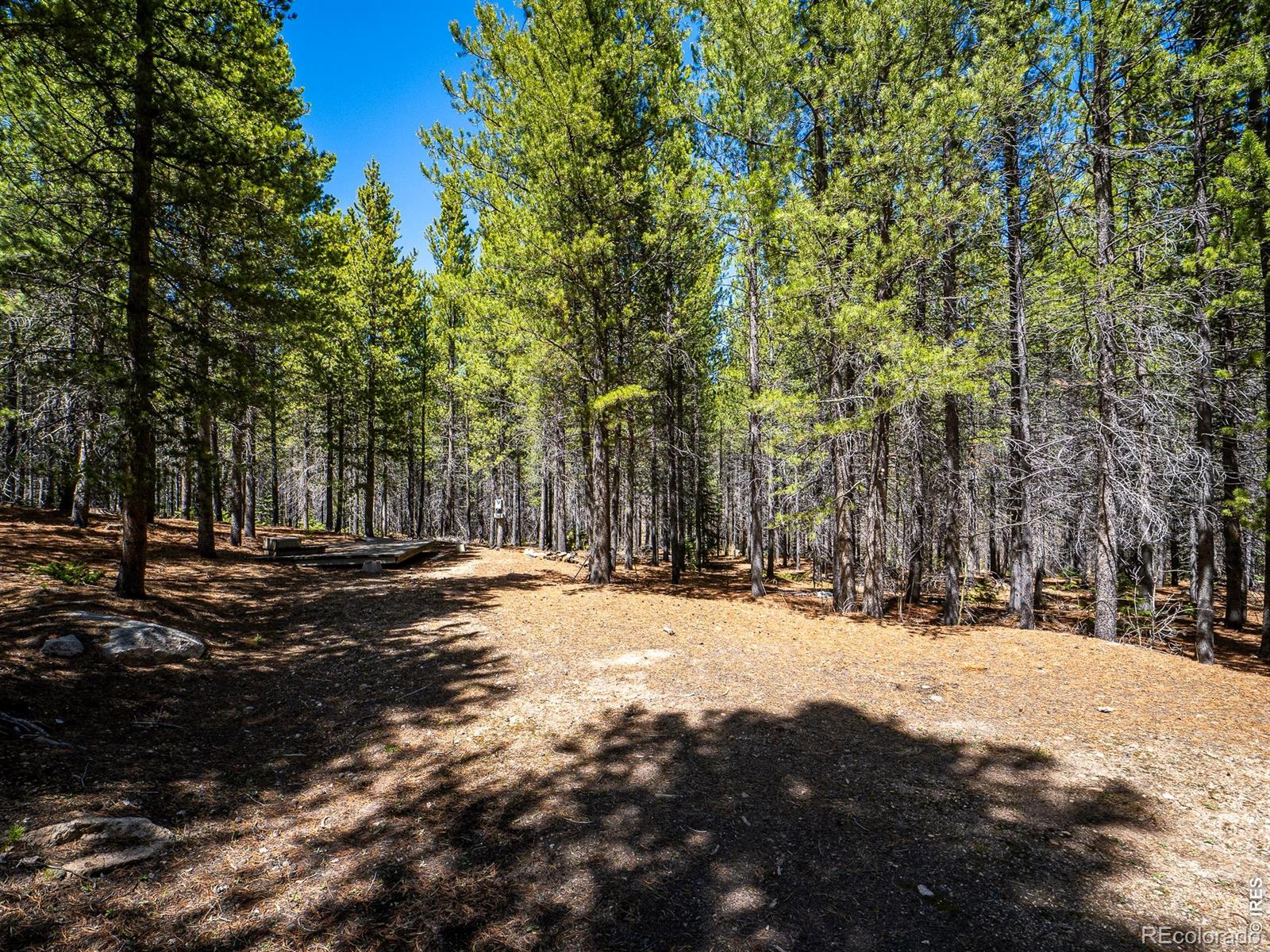 591 Tuscarora Way Red Feather Lakes CO 80545