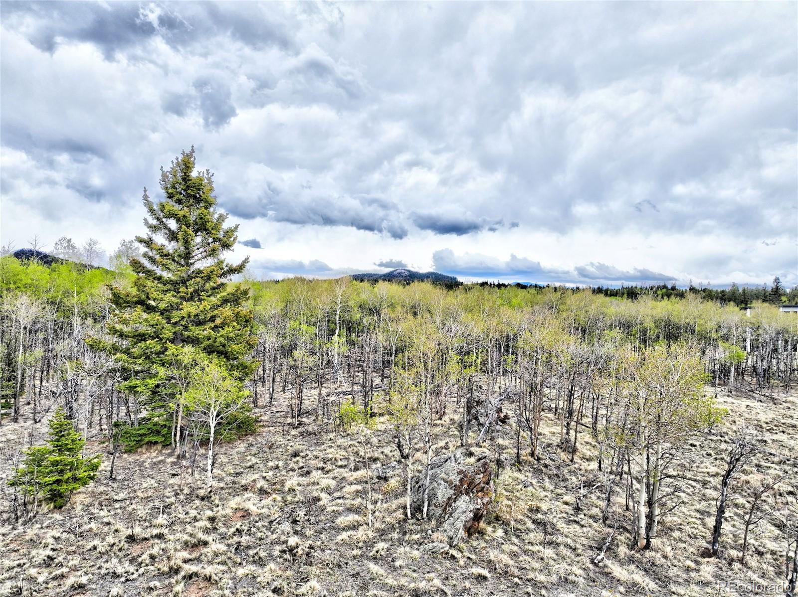 71 Mallard Road Como CO 80432