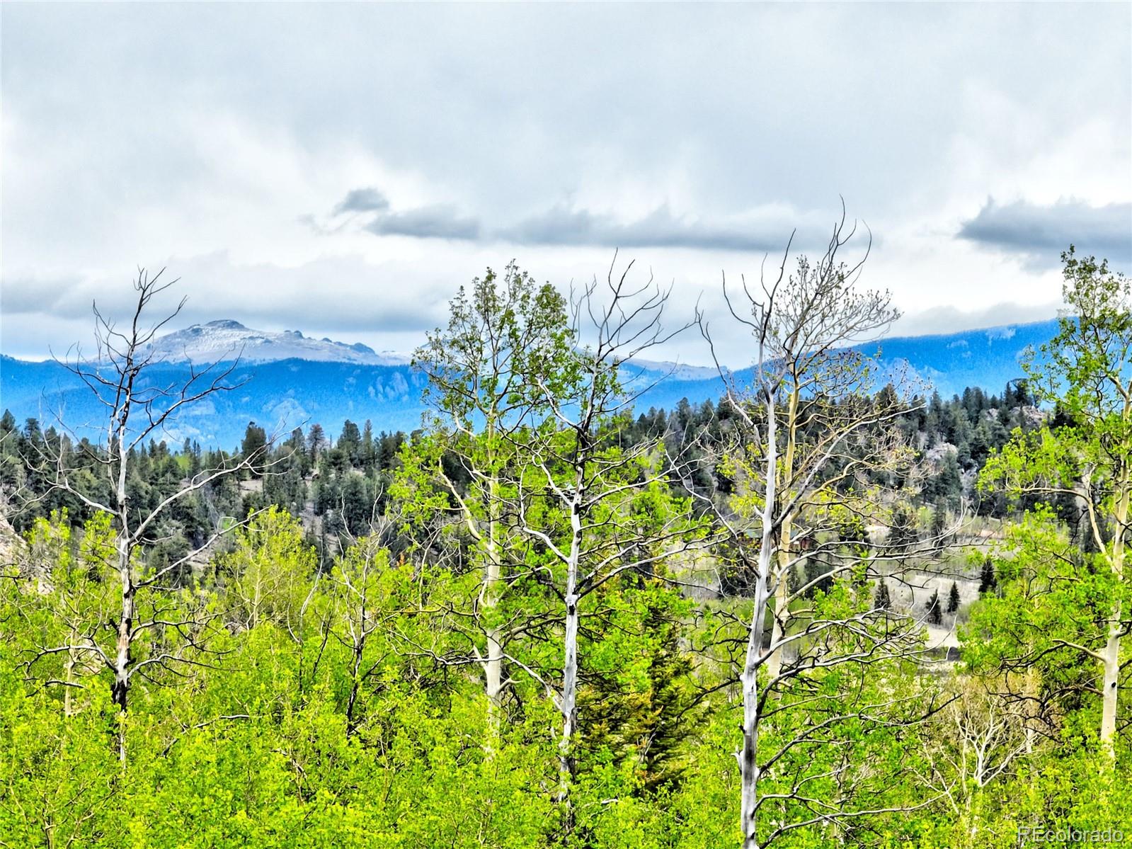 71 Mallard Road Como CO 80432
