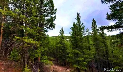 111 Forest Service Road 752.3b Gunnison CO 81231