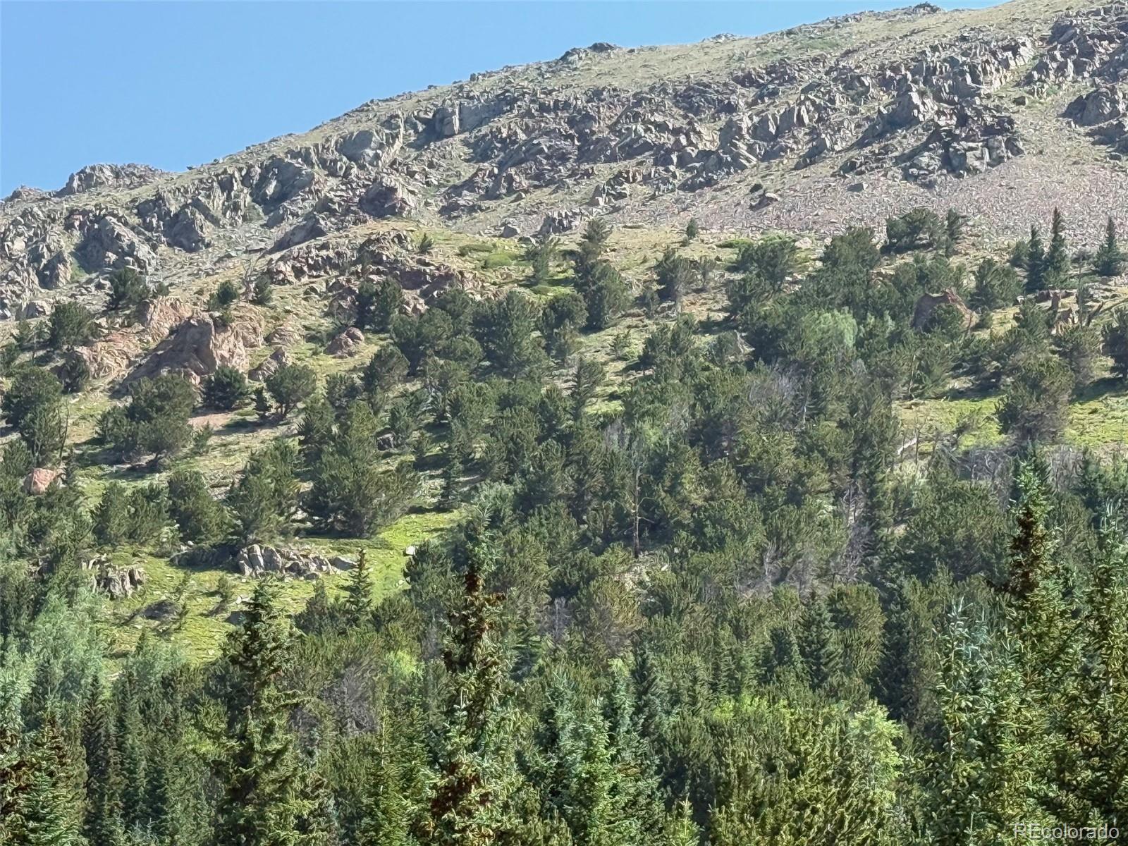 3802 Fourth Of July Road Nederland CO 80466