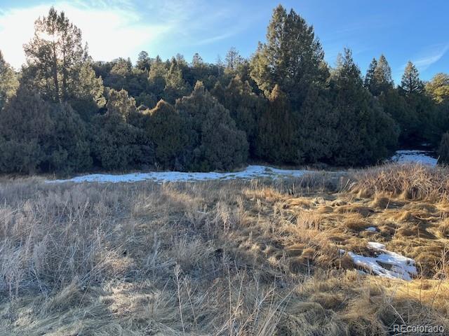 Lot 6016 Forbes Road San Luis CO 81152