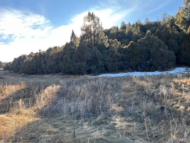 Lot 6016 Forbes Road San Luis CO 81152