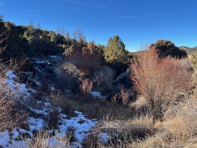 Lot 6016 Forbes Road San Luis CO 81152