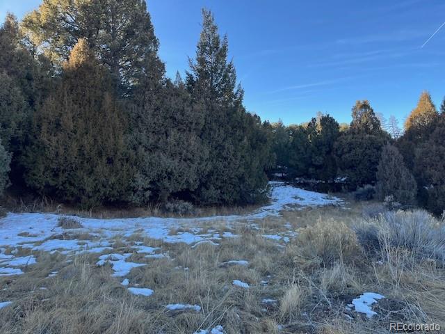 Lot 6016 Forbes Road San Luis CO 81152