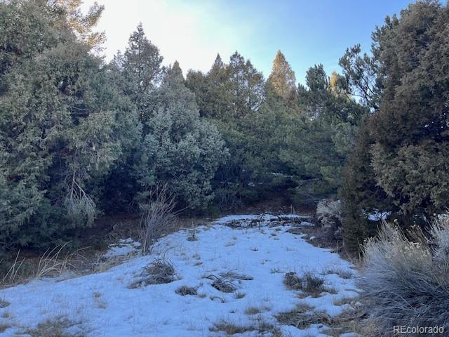 Lot 6016 Forbes Road San Luis CO 81152
