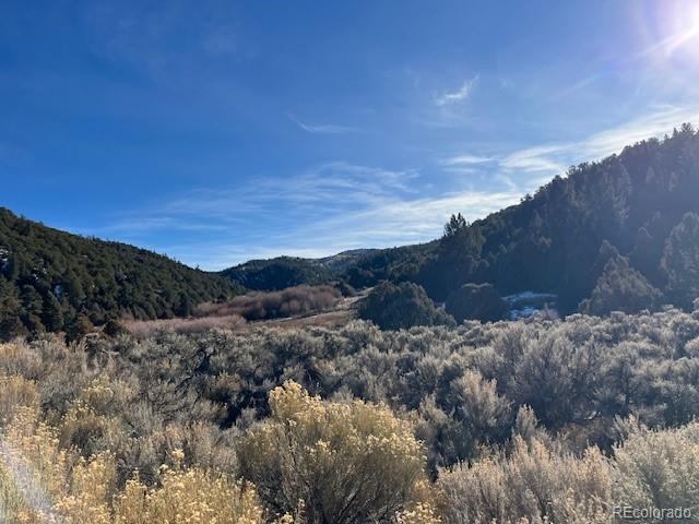 Lot 6016 Forbes Road San Luis CO 81152