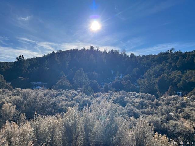 Lot 6016 Forbes Road San Luis CO 81152