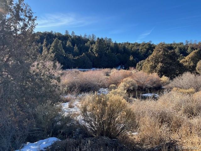 Lot 6016 Forbes Road San Luis CO 81152