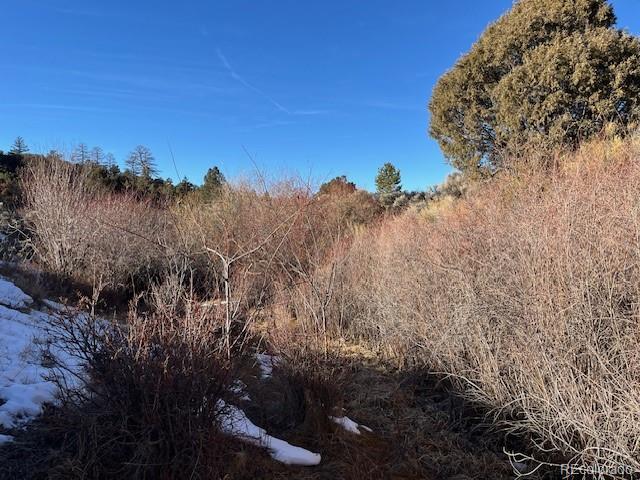 Lot 6016 Forbes Road San Luis CO 81152
