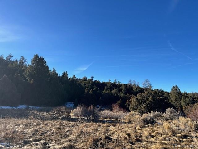 Lot 6016 Forbes Road San Luis CO 81152