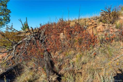 0 Macdonnell Drive Cotopaxi CO 81223