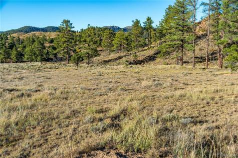 0 Macdonnell Drive Cotopaxi CO 81223